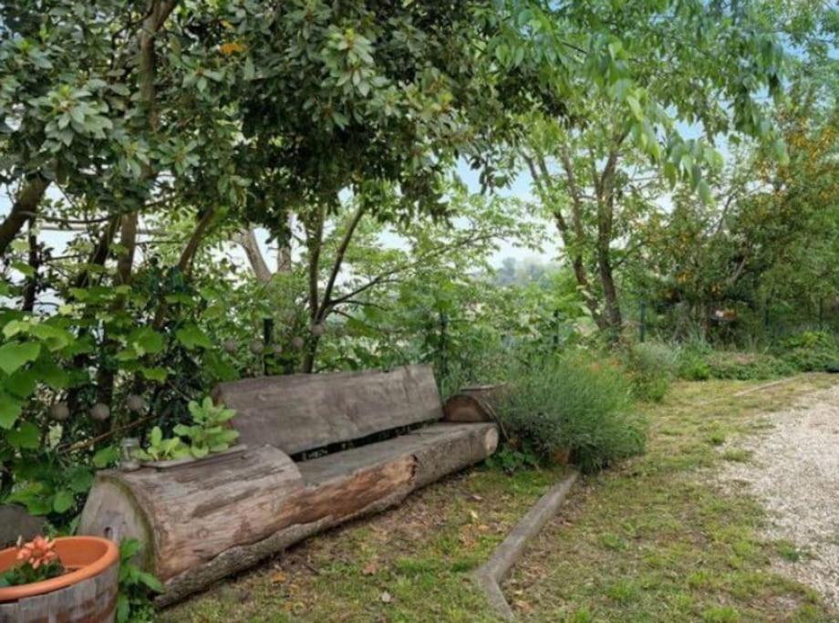 Piobesi d'AlbaLa Casa Rosaアパートメント エクステリア 写真